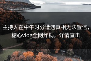 主持人在中午时分遭遇真相无法置信，糖心vlog全网炸锅，详情直击