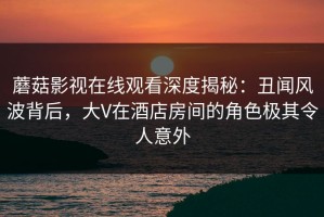 蘑菇影视在线观看深度揭秘：丑闻风波背后，大V在酒店房间的角色极其令人意外