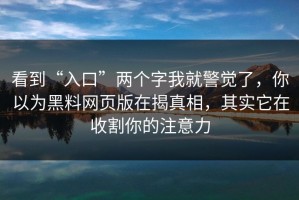 看到“入口”两个字我就警觉了，你以为黑料网页版在揭真相，其实它在收割你的注意力