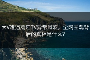 大V遭遇蘑菇TV异常风波，全网围观背后的真相是什么？