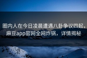 圈内人在今日凌晨遭遇八卦争议四起，麻豆app官网全网炸锅，详情揭秘