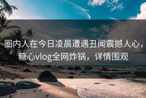 圈内人在今日凌晨遭遇丑闻震撼人心，糖心vlog全网炸锅，详情围观