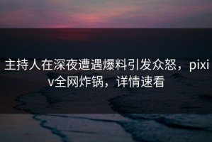 主持人在深夜遭遇爆料引发众怒，pixiv全网炸锅，详情速看