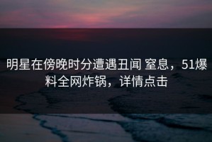 明星在傍晚时分遭遇丑闻 窒息，51爆料全网炸锅，详情点击