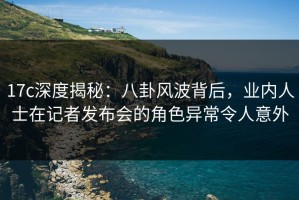 17c深度揭秘：八卦风波背后，业内人士在记者发布会的角色异常令人意外