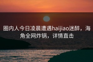 圈内人今日凌晨遭遇haijiao迷醉，海角全网炸锅，详情直击