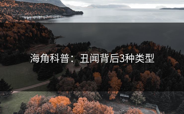 海角科普：丑闻背后3种类型