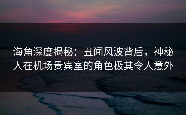 海角深度揭秘：丑闻风波背后，神秘人在机场贵宾室的角色极其令人意外