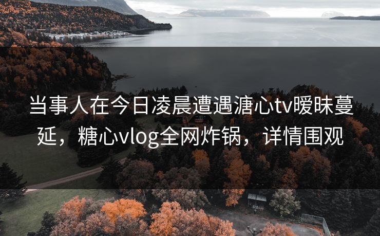 当事人在今日凌晨遭遇溏心tv暧昧蔓延，糖心vlog全网炸锅，详情围观