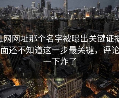 51网网址那个名字被曝出关键证据，外面还不知道这一步最关键，评论区一下炸了