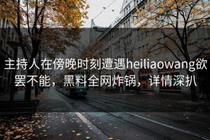 主持人在傍晚时刻遭遇heiliaowang欲罢不能，黑料全网炸锅，详情深扒