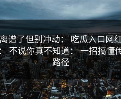太离谱了但别冲动： 吃瓜入口网红黑料： 不说你真不知道： 一招搞懂传播路径